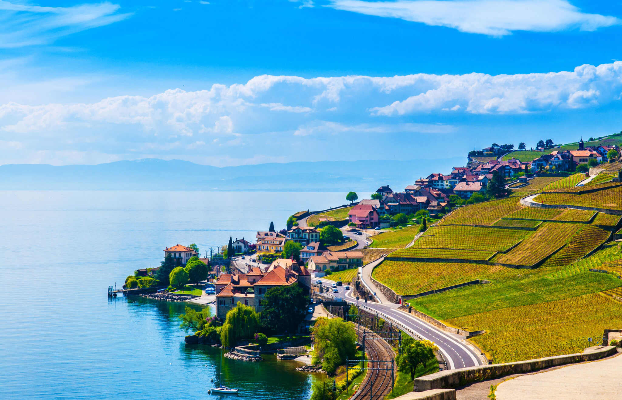 Vineyards In Lavaux 703703299
